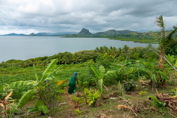 Wall Mural - Rural scenes with stunning tropical landscapes and seascapes as backdrop, Queen's Road, north shores of Viti Levu, Fji