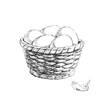 Vector Hand-drawn Illustration Of A Basket With White Eggs In The Style Of An Engraving. Sketch Of A Fresh Natural Product.