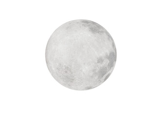Wall Mural - full moon that lights up in the night.