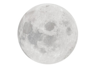 Wall Mural - moon lights in the shadow