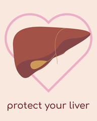 Poster with the image of the liver for medical institutions. Medicine for people. human liver. Treatment and protection of the liver. Vector flat image of liver for posters, business cards, banners.