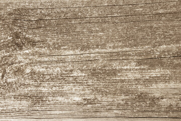 Wall Mural - Old rustic wood background texture