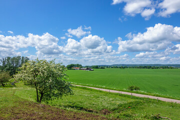 Canvas Print - Rural country view in a sunny landscape