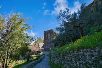 Wall Mural - Byzantine castle state of Mystras, Greece
Medieval Art. Medieval architecture.