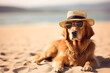 Funny dog in a hat and sunglasses lies on the sand on the beach on a sunny summer day. Recreation and vacation concept. Generative AI.