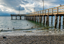 Shoreline Pier Pilings 4