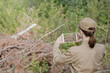 © junky_jess - Woman park ranger in uniform take a photo of deadwood using a digital tablet in a national park in summer, back view, selective focus.