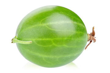 Poster - One green gooseberry, close up. Isolated on white background.