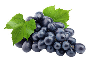 Wall Mural - purple grape, isolated on white background, full depth of field