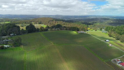 Canvas Print - Aerial view of Vineyards in South Australia