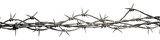 Fototapeta  - A barbed wire isolated on transparent background - Generative AI