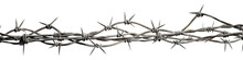 A Barbed Wire Isolated On Transparent Background - Generative AI