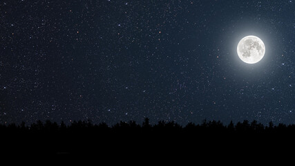 night sky in the forest with stars and moon