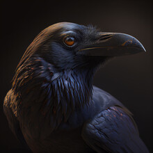 Close Up Of A Raven With Brown Eyes, Generative Ai Technology