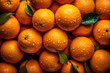Fresh Oranges with Droplets of Water and Leafs, Top-View Close-Up Background