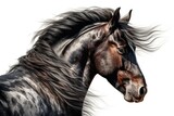 Fototapeta Konie - Beautiful animal style art pieces, Regal Horse Portrait