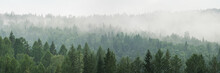 Mountain Taiga, A Wild Place In Siberia. Coniferous Forest, Morning Fog, Panoramic View.
