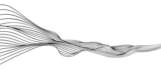 Leinwandbilder - Vector abstract line art wavy smooth flowing dynamic black gradient isolated on transparent background in concept luxury, wave, ocean.