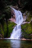 Fototapeta Tęcza - Beautiful and serene waterfall at Jakuchi Gorge, Goryu Falls, 7 falls hike in Iwakuni, Yamaguchi prefecture, Japan.