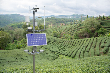 Wall Mural - Weather station in green tea field, 5G technology with smart farming concept