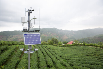 Wall Mural - Weather station in green tea field, 5G technology with smart farming concept