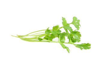 Wall Mural - Fresh parsley isolated on white background