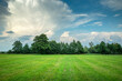 © darekb22 - Green meadow with trees on the horizon and abstract clouds on the blue sky, Nowiny, Poland