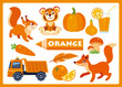 Orange cartoon illustration for learning colors. Cute orange objects set for kids: squirrel, tiger, juice, orange, fox, pumpkin, truck, onion, carrot, feather, mushroom.