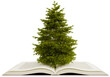 tree on opened book, 3d illustration rendering