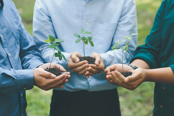 Wall Mural - Environmental cooperation. Unity of businesspeople and community together plant trees for sustainable development goals. Future environmental conservation and sustainable ESG modernization development