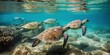 A group of sea turtles swimming together in crystal-clear waters, concept of Biodiversity conservation, created with Generative AI technology