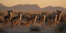 A Pack Of Coyotes Howling In The Desert At Dusk, Concept Of Wilderness Communication, Created With Generative AI Technology