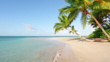 Secluded Palm Beach On Caribbean Coast On A Sunny Summer Day. Luxurious Relaxation On White Sand With Turquoise Ocean Waves. Journey To A Tropical Paradise. Background Of Blue Sky Over The Sea.