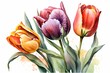 Tulip flower bouquet, colorful tulips in bloom, watercolor illustration, drawing isolated on white background. Generative Ai.