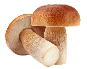 mushroom, boletus edulis, porcini, king bolete, isolated on white background, full depth of field