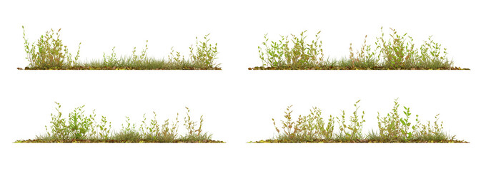 Set of green plant with dried leaves on transparent background, nature meadow, autumn plant, 3d render illustration.
