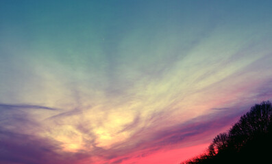 Wall Mural - Cloudy colorful sunset over dark silhouettes of trees .