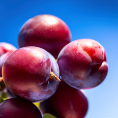 Wall Mural - red plums blue background, ai