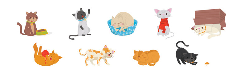 Sticker - Playful Cats as Fluffy Feline with Cute Snout in Different Pose Vector Set