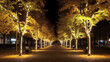 © Uolir - Bonn Poppelsdorfer allee at night - generative ai