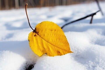 Poster - yellow leaf resting on a bed of snow. Generative AI