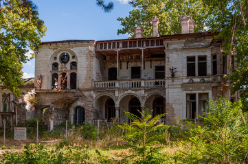 Wall Mural - Desolate Remnants Abandoned Serbian Manor Forgotten Relics: Deserted Serbian Mansion Abandoned Echoes: Serbian Estate in Ruins