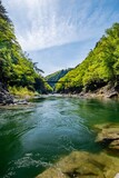Fototapeta Sawanna - 龍王峡と新緑（栃木県日光市）