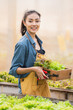 © chokniti - Basket with fresh vegetables, Asian farmer woman holding wooden box full of raw vegetables in the local farm or green house of Thailand, organic food by harvest in agriculture business concept