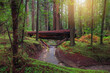 Redwood forest at sunset.