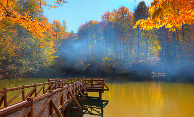 Poster - Autumn forest landscape reflection on the water with - Autumn landscape in (seven lakes) National park of  Yedigoller, Bolu 