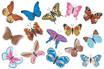 butterflies mega set elements in flat design. bundle of different types and colors tropical flying b