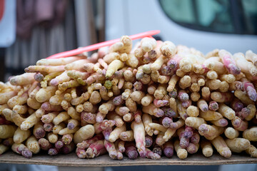 Fresh white asparagus on outdoors market in France