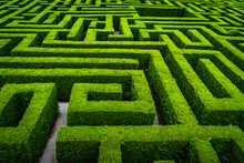 Green Grass Maze