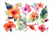 Isolated Floral Illustration Set. Decorative Flower Elements Template. Flat Cartoon Illustration Isolated On White Background. Generative AI